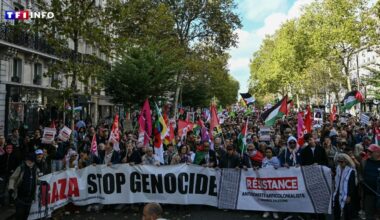 "Gaza, Paris est avec toi !" : plusieurs milliers de manifestants pro-palestiniens en France
