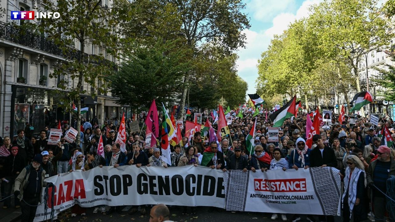 "Gaza, Paris est avec toi !" : plusieurs milliers de manifestants pro-palestiniens en France