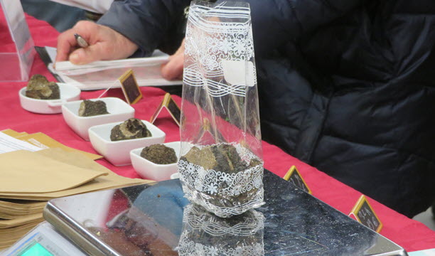 Pesée ©Truffe 54 Lorraine