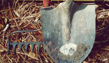 comment gérer ses déchets verts ?