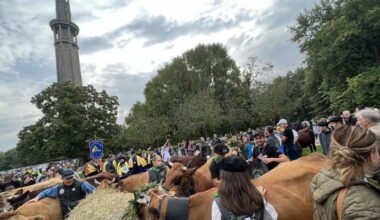 la 15e Descente des alpages fait son retour samedi 11 octobre