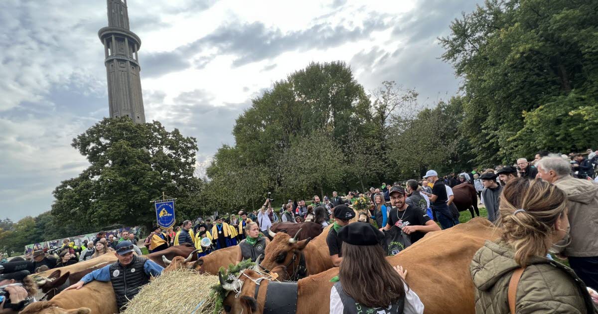 la 15e Descente des alpages fait son retour samedi 11 octobre