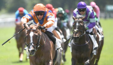 Strasbourg-Hoerdt. L’hippodrome innove avec une nouvelle aire de départ le 5 octobre