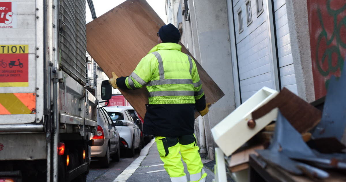 avec 583 tonnes depuis début 2025, le phénomène explose