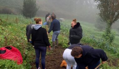 Saint-Jean-Bonnefonds. Partage de jardins Volpette pour des adultes handicapés