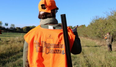 Nancy. Le chasseur tue son collègue qu’il prend pour un sanglier : sursis requis