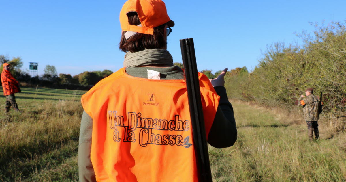 Nancy. Le chasseur tue son collègue qu’il prend pour un sanglier : sursis requis