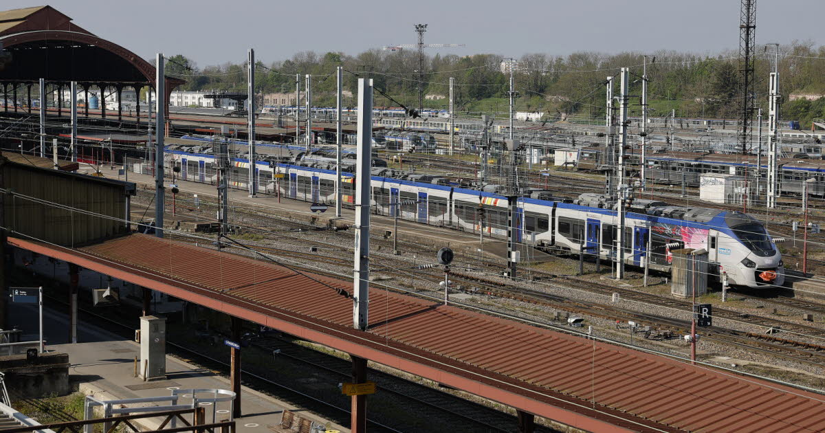 les études vont commencer, pour une durée de 15 mois