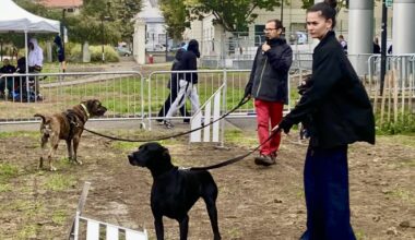 Gier. Une fête du chien mouillée mais réussie à Saint-Chamond
