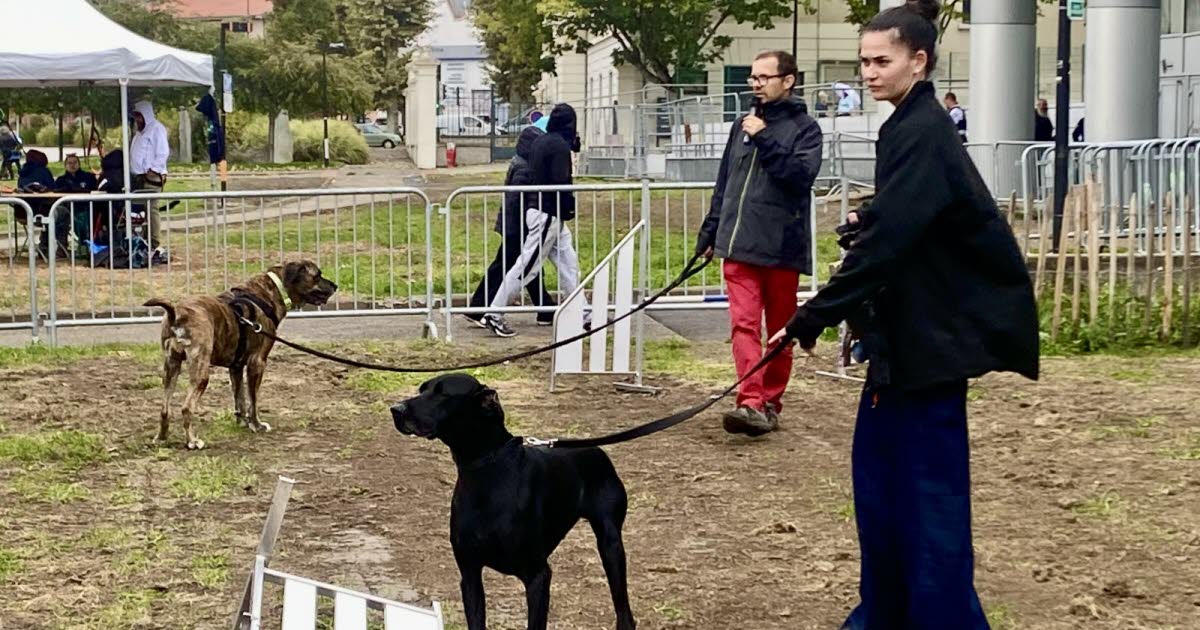 Gier. Une fête du chien mouillée mais réussie à Saint-Chamond