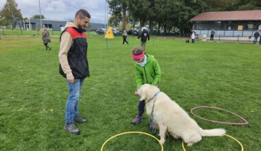 Haguenau. Des ateliers avec les chiens pour apprendre à les comprendre