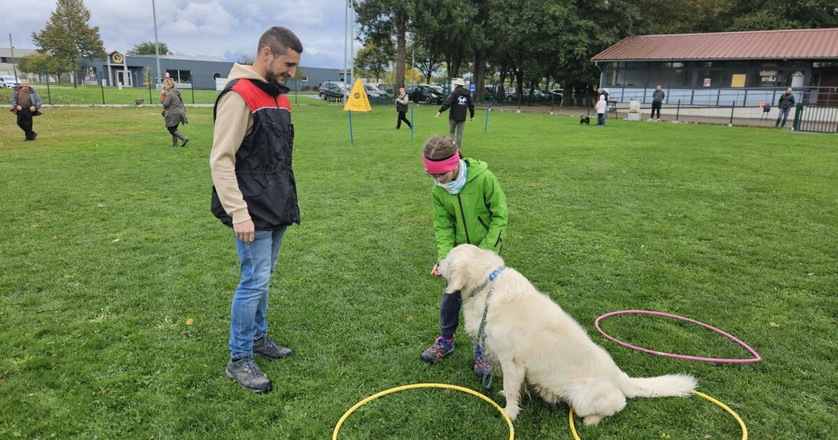 Haguenau. Des ateliers avec les chiens pour apprendre à les comprendre