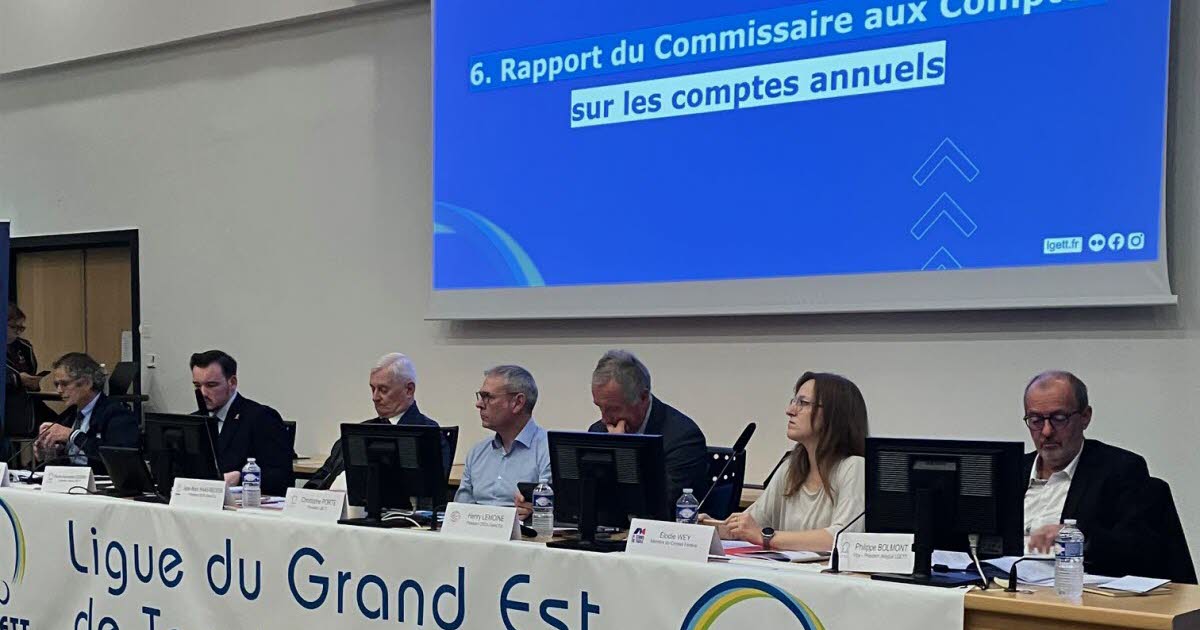 Tennis de table. Tous les voyants sont au vert pour le tennis de table en Grand Est