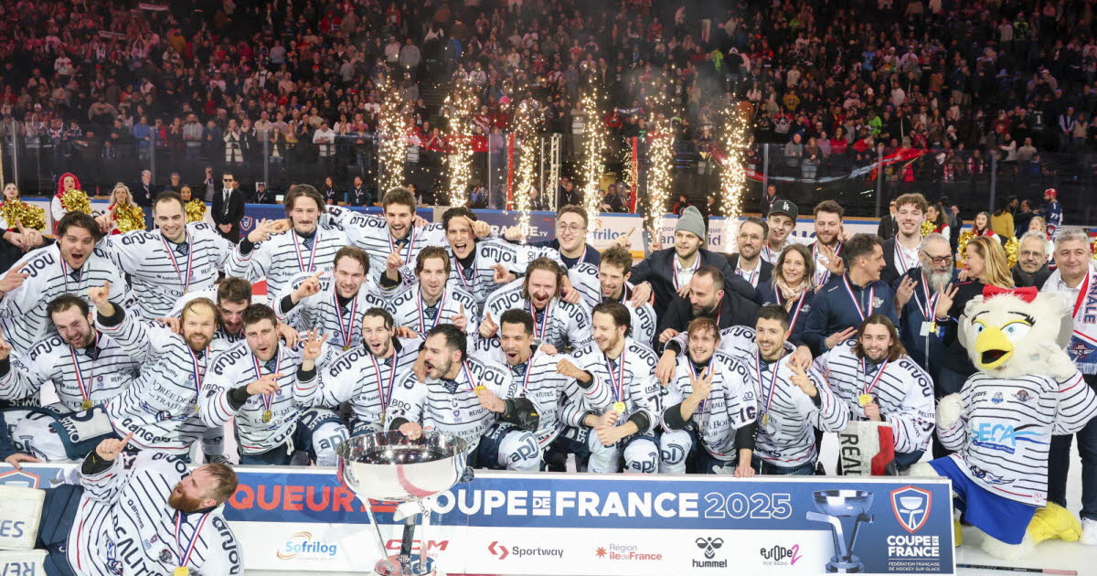 Hockey sur glace - Coupe de France. Grenoble, Briançon, Gap, Chamonix... Quels adversaires pour nos clubs régionaux en 16es de finale ?