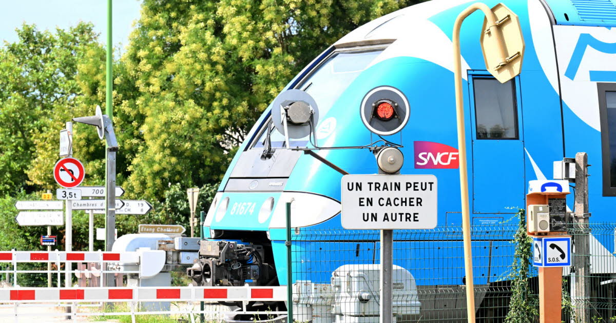 En direct Métropole de Lyon. Info trafic : les trains Roanne