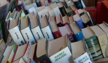 Nancy. Foire aux livres du Secours populaire