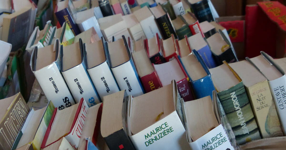 Nancy. Foire aux livres du Secours populaire