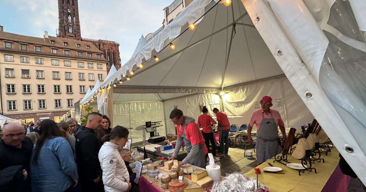 Strasbourg. La fête des vendanges et du goût, c’est ce week-end