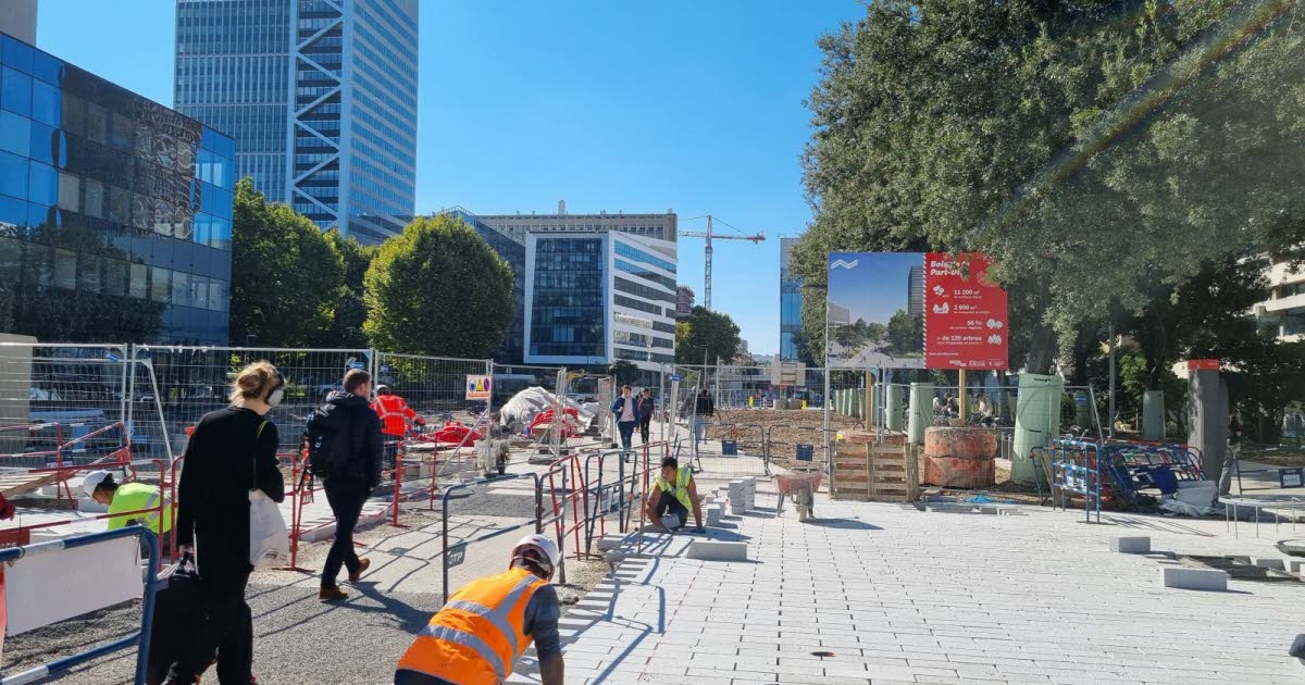 Lyon. Une fondation privée investit 30 000 € dans le futur bois de la Part-Dieu