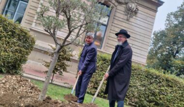 Lyon. Un olivier, symbole de paix, a été planté ce jeudi 9 octobre dans la cour d’honneur du Département, ...
