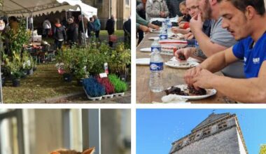 Loisirs. Que faire ce week-end en Lorraine ? Notre sélection pour des idées de sorties