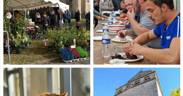 Loisirs. Que faire ce week-end en Lorraine ? Notre sélection pour des idées de sorties