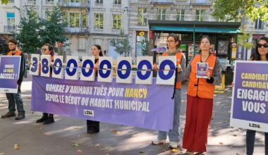 Nancy. « 38 millions d’animaux tués pour nourrir la ville depuis 5 ans »