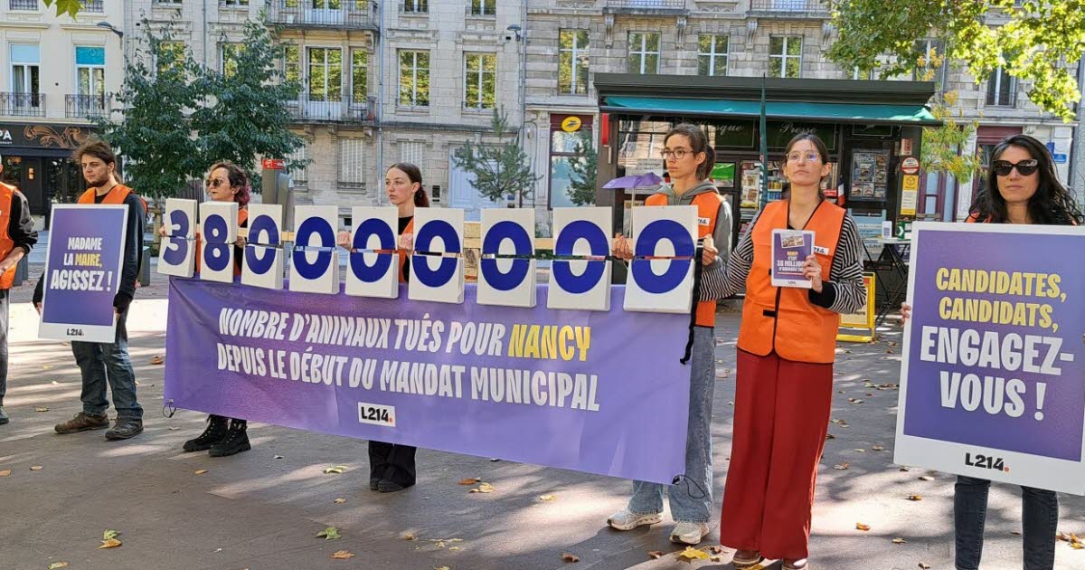 Nancy. « 38 millions d’animaux tués pour nourrir la ville depuis 5 ans »