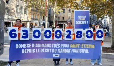 L214 se mobilise à Saint-Étienne