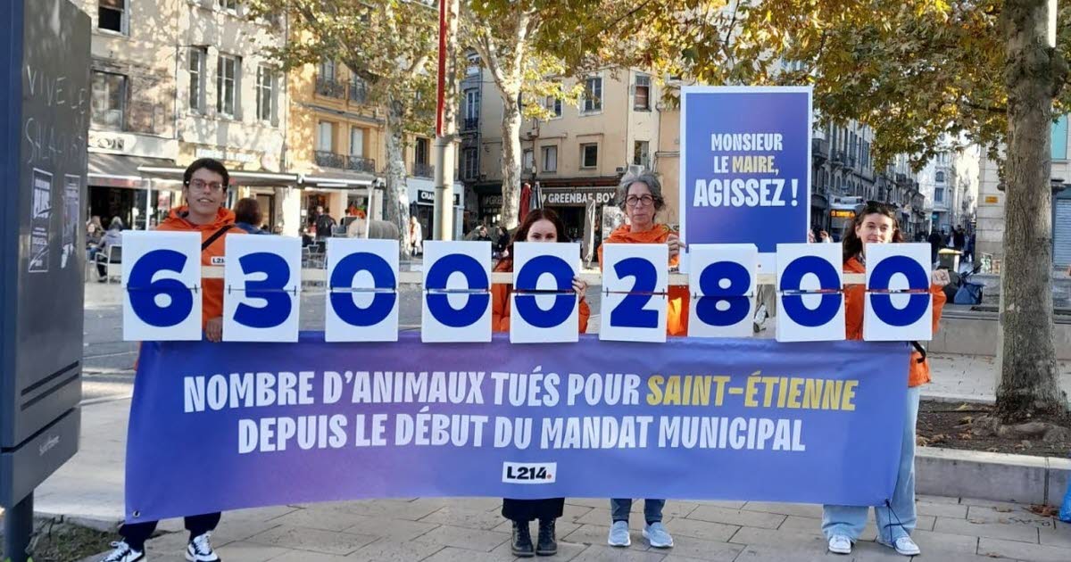 L214 se mobilise à Saint-Étienne