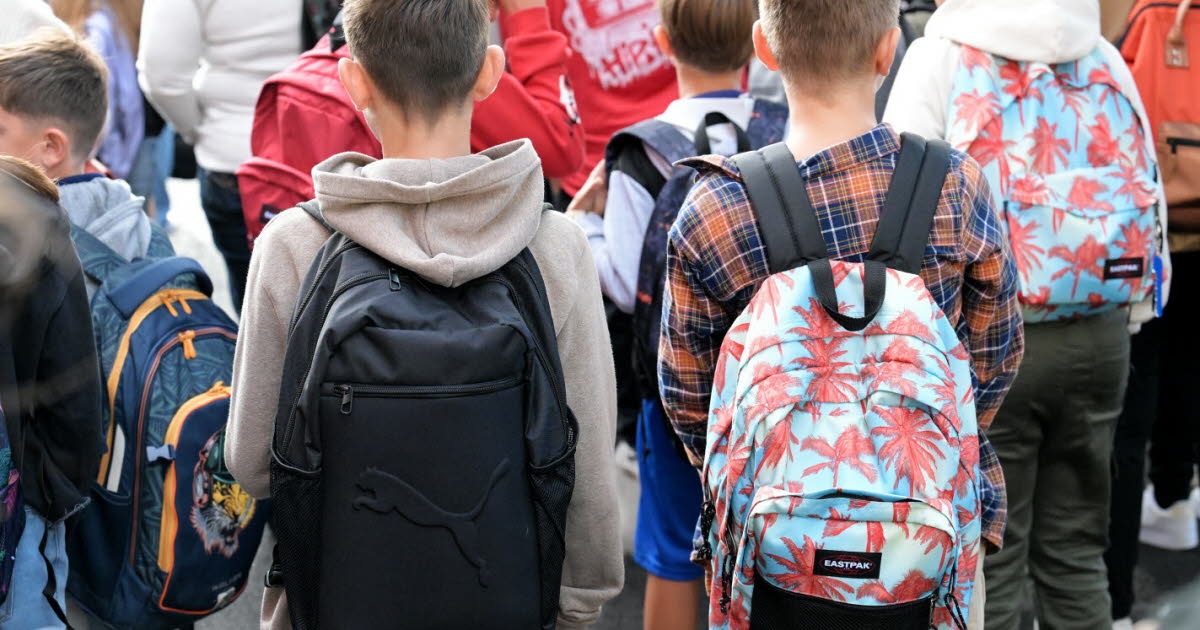 Saint-Chamond. Pourquoi les personnels du collège Jean-Rostand seront en grève ce mardi