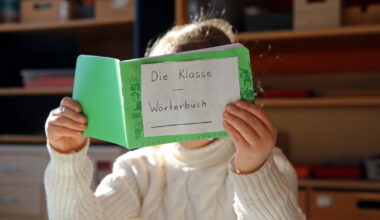 Strasbourg. Quel collège pour les élèves de la filière bilingue de l’Esplanade ?