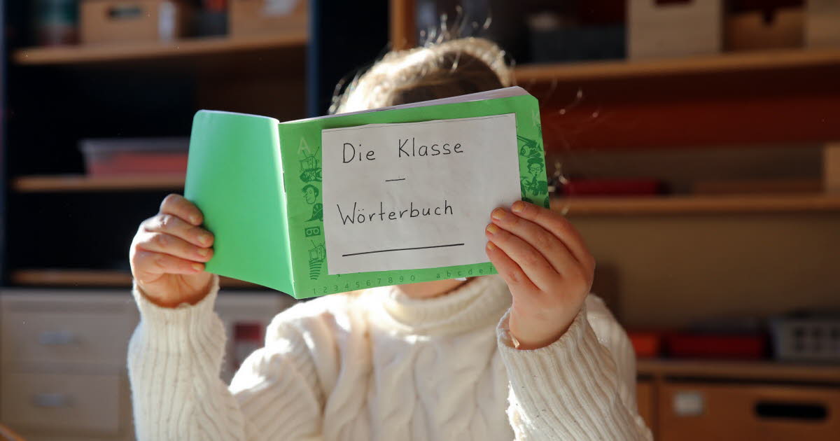 Strasbourg. Quel collège pour les élèves de la filière bilingue de l’Esplanade ?