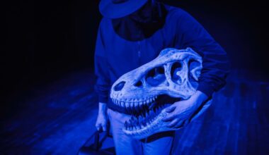 Strasbourg. À Pôle-Sud, le chorégraphe Marco d’Agostin entre Broadway et les dinosaures