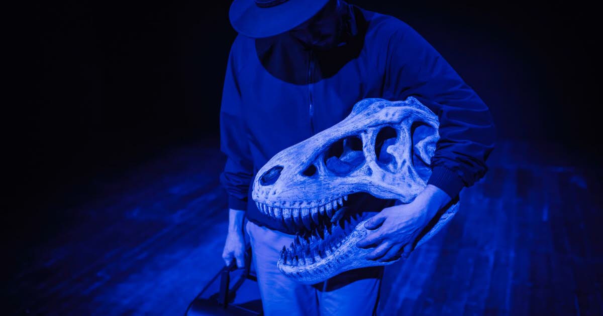 Strasbourg. À Pôle-Sud, le chorégraphe Marco d’Agostin entre Broadway et les dinosaures