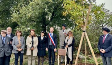 Grenoble. Un arbre du Souvenir pour les Troupes de montagne