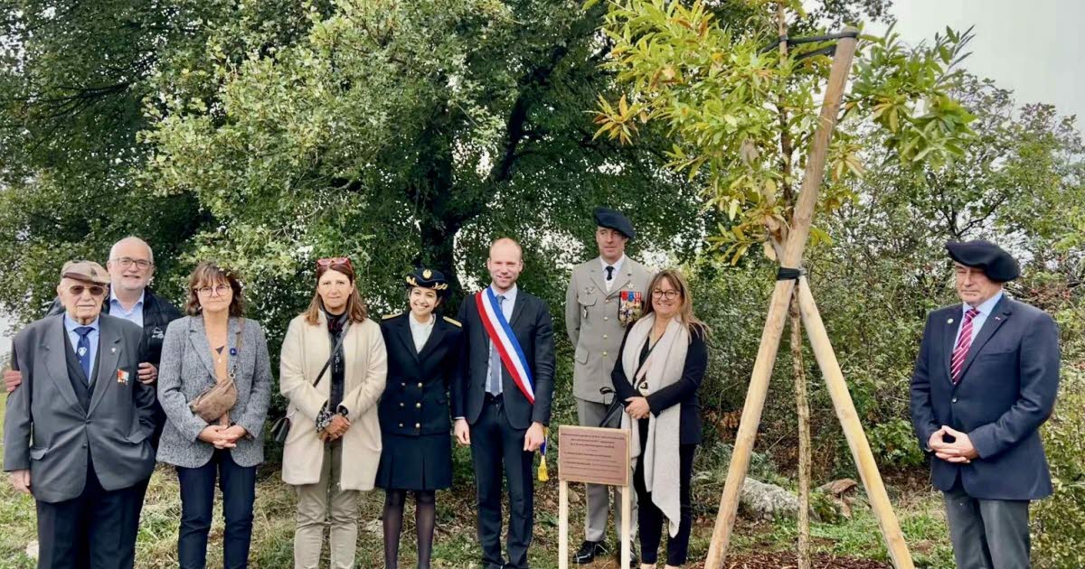 Grenoble. Un arbre du Souvenir pour les Troupes de montagne