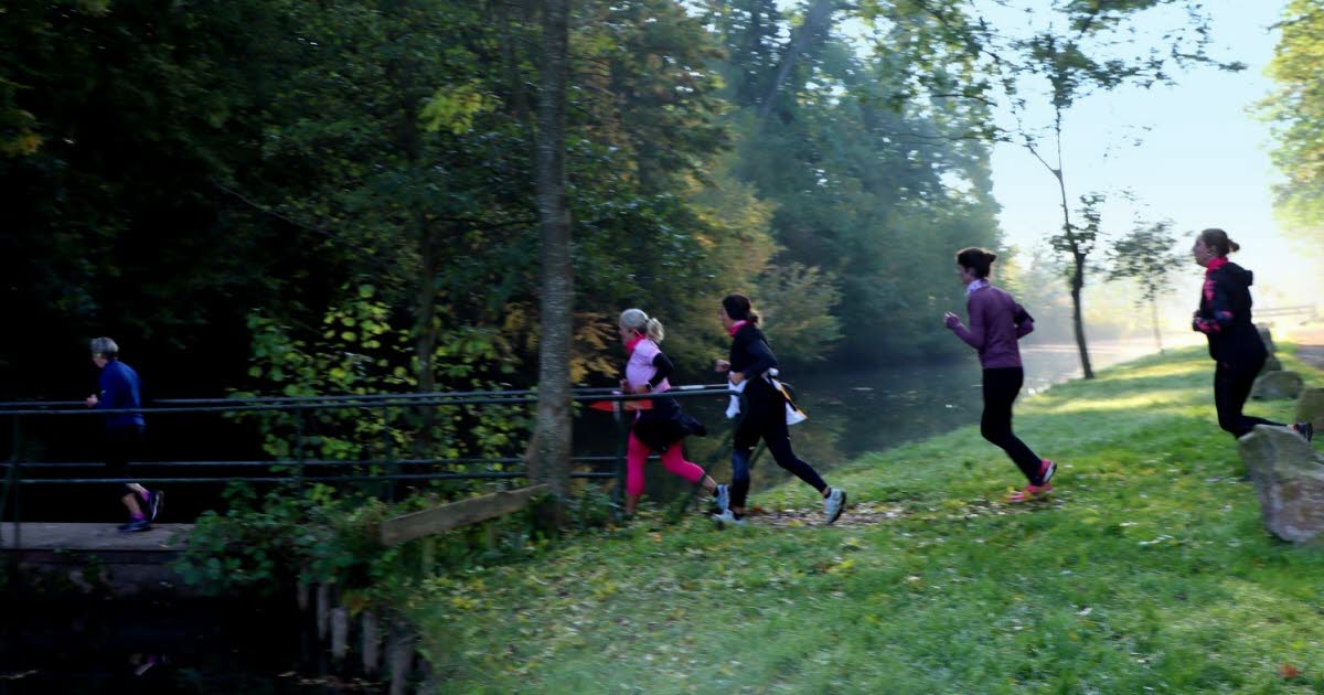Eschau. Marcher ou courir dans les sous-bois pour Esch’rose