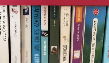 Chevigny-Saint-Sauveur. Braderie de livres et CD : tout à 1 €, samedi