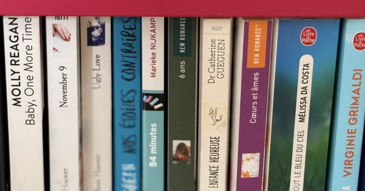 Chevigny-Saint-Sauveur. Braderie de livres et CD : tout à 1 €, samedi