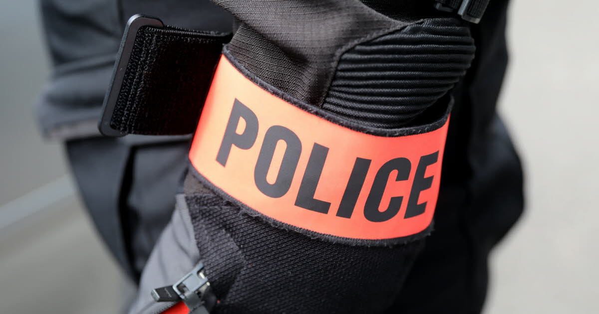 Lyon. Deux hommes arrêtés dans un TER après un vol à la faculté