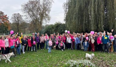 Reichstett. Tous en rose pour la marche solidaire du 17 octobre