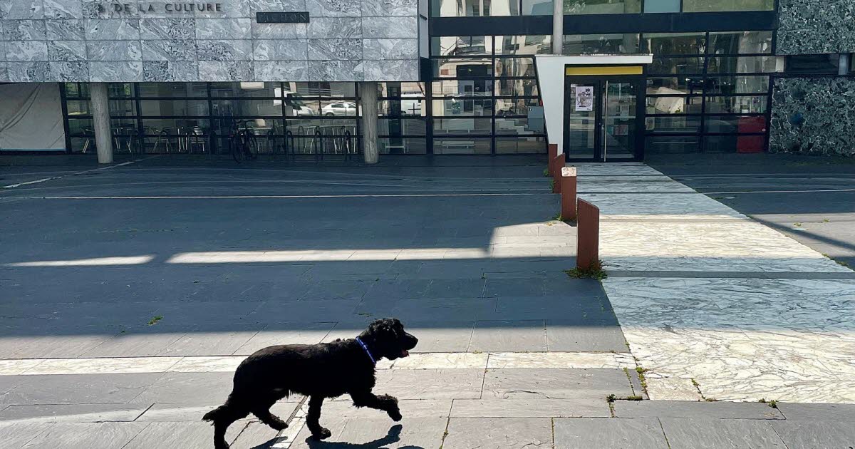 le Punch défend son projet associatif