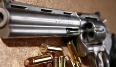 14 mois de prison pour le toxicomane au 357 Magnum