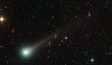 Côte-d'Or. Ne tardez pas à regarder cette comète dans le ciel, vous ne la reverrez jamais !