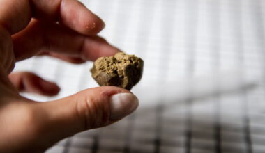 Lyon. Le livreur de drogue téléphonait au volant, il se retrouve en garde à vue