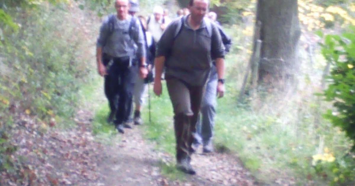 La Talaudière. La marche contre le cancer ce dimanche