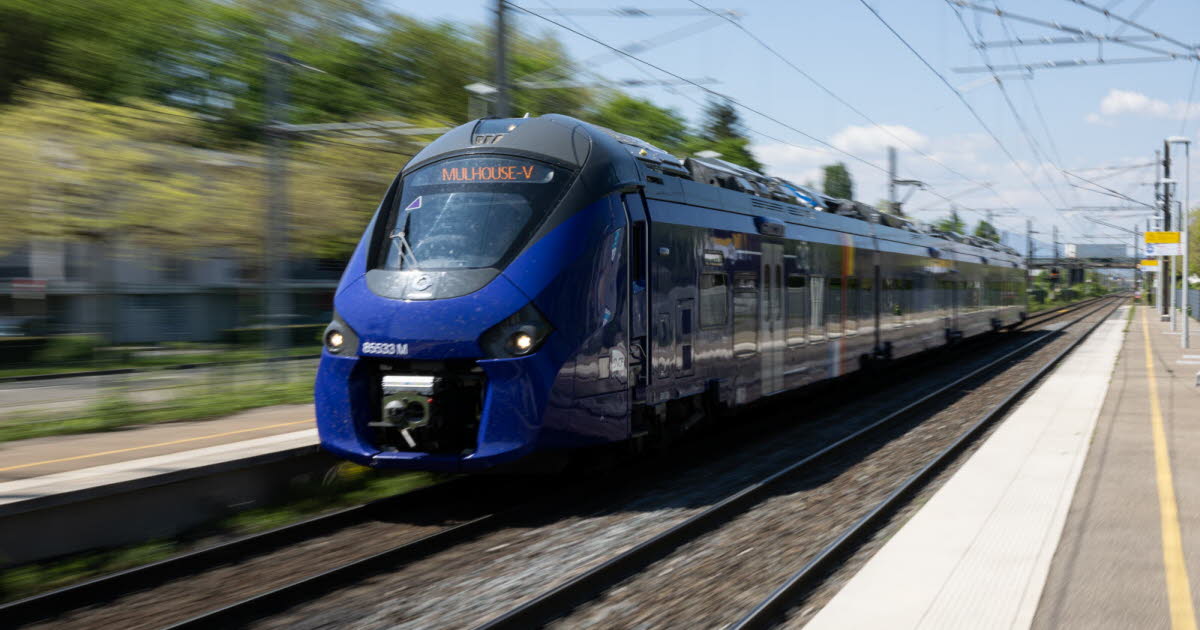 Haut-Rhin. Quelques perturbations ferroviaires entre Rouffach et Herrlisheim-près-Colmar à la suite d’une intrusion sur les voies