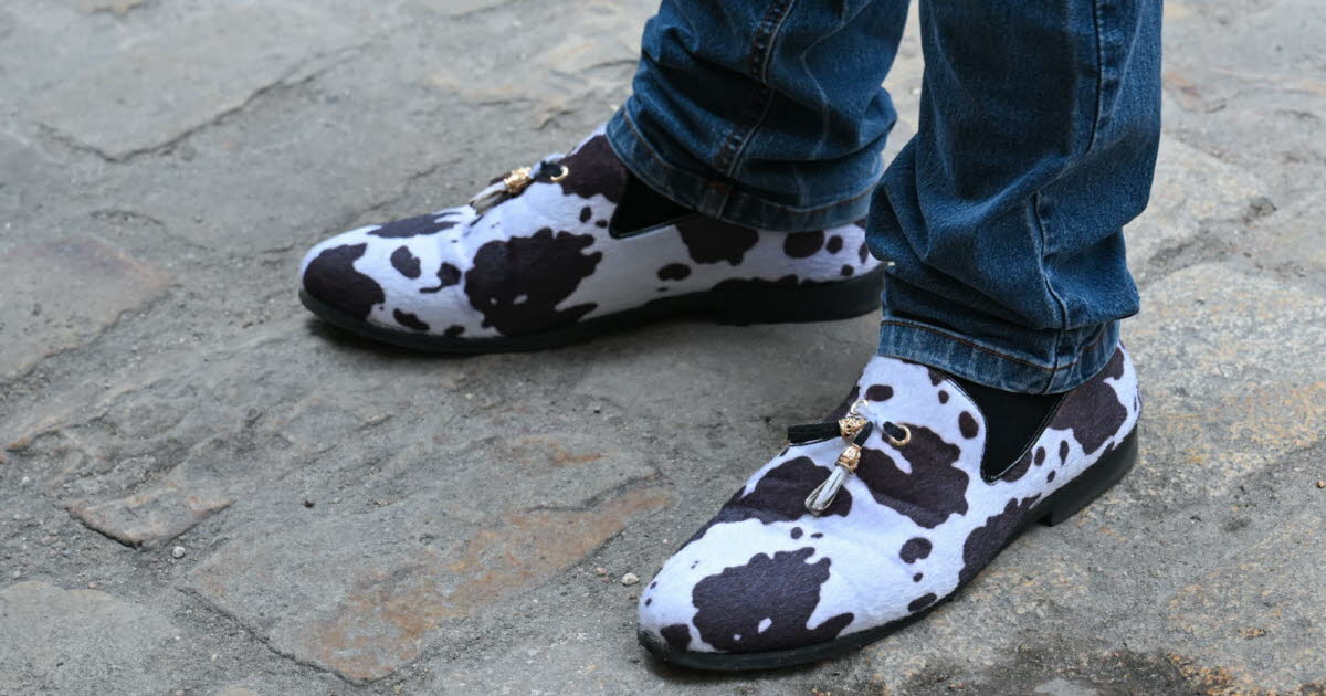 Hello Ketty. Les images décalées de la semaine dans l'objectif de notre photographe