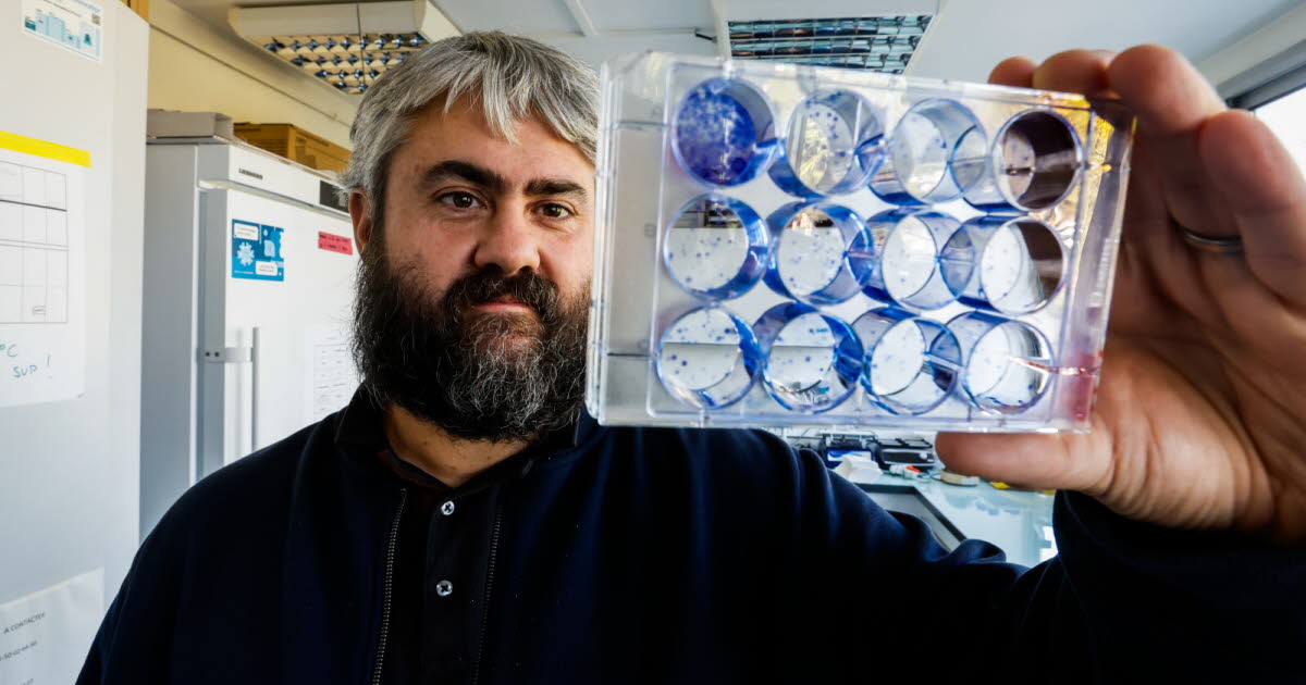 Marseille. Un anti-infectieux intestinal pour lutter contre le cancer du sein découvert par le CRCM